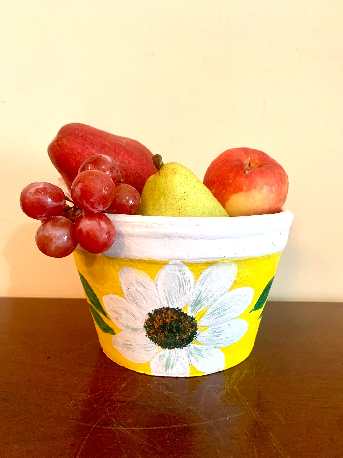 Handpainted terra cotta pots