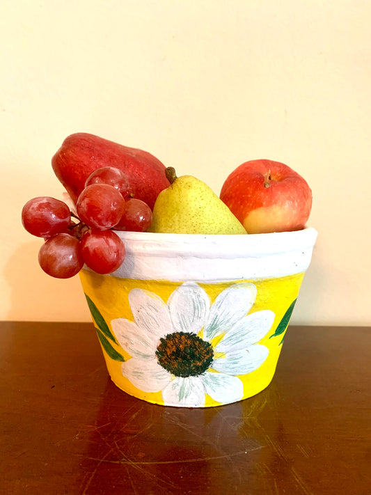 Handpainted terra cotta pots